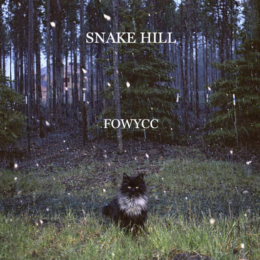 FOWYCC — Bracelet & Slap