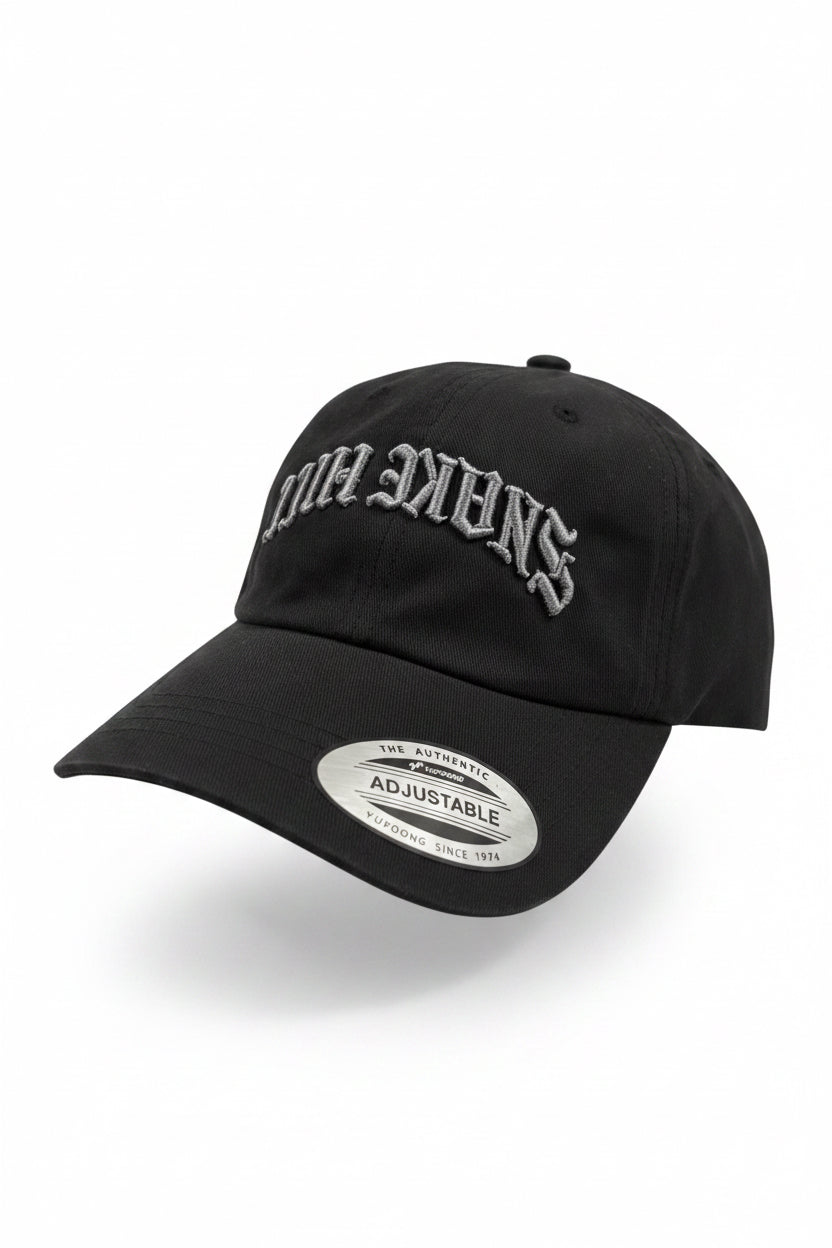 THE HILL — Dad Hat