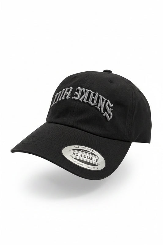 THE HILL — Dad Hat